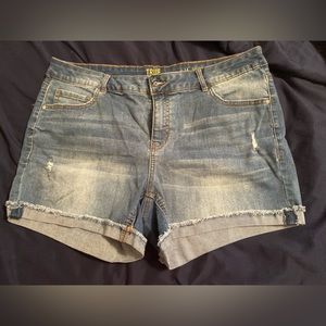 True Craft Denim Shorts